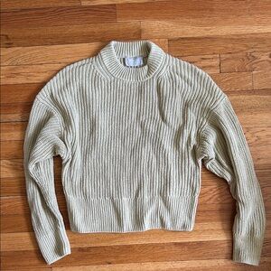 Everlane Pale Green Cotton Sweater